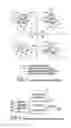 Fig. 02 - Emergent network defense