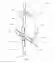 Fig. 02 - Elastic Adjustable Hand Held Device Holder
