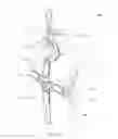 Fig. 09 - Elastic Adjustable Hand Held Device Holder
