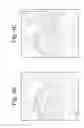 Fig. 07 - Methods of extracting monocot embryos
