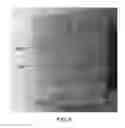 Fig. 07 - Method for Forming Shapes Containing Multiple Natural Cheeses