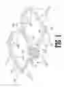 Fig. 02 - Portable cattle wing