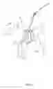 Fig. 07 - Dog harness with a safety attachment