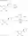 Fig. 07 - ASCORBIC ACID-RELATED COMPOUND AND PLANT ANTIVIRAL AGENT