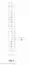 Fig. 02 - Method and apparatus for making a tablet of powdered products for espresso beverage extraction