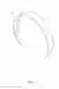 Fig. 02 - Hair accessory