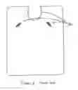 Fig. 02 - Fitted Blanket for Use During Transportation