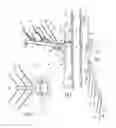 Fig. 06 - Collapsible artificial tree