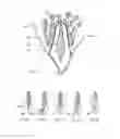 Fig. 02 - Dental and medical instruments comprising titanium