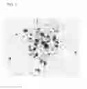 Fig. 02 - Coating for cells, reagents and methods
