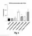 Fig. 09 - PYRIMIDINE HYDROXY AMIDE COMPOUNDS AS PROTEIN DEACETYLASE INHIBITORS AND METHODS OF USE THEREOF