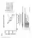 Fig. 25 - METHODS AND COMPOSITIONS FOR MODIFYING THE IMMUNE RESPONSE