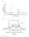 Fig. 13 - BIODEGRADABLE POLYMERIC BUFFERS