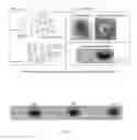Fig. 22 - BIODEGRADABLE POLYMERIC BUFFERS