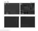 Fig. 24 - BIODEGRADABLE POLYMERIC BUFFERS