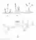 Fig. 02 - pH-RESPONSIVE GADOLINIUM NANOPARTICLE CONJUGATES AND USES THEREOF