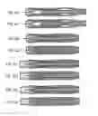 Fig. 07 - Injection device with dosing control means