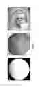 Fig. 02 - Nano seeding tools to generate nanometer size crystallization seeds