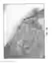 Fig. 20 - Method for printing three-dimensional items wtih semi-crystalline build materials
