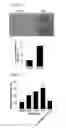 Fig. 02 - Use of a Compound for Inducing Differentiation of Mesenchymal Stem Cells into Cartilage Cells