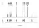 Fig. 41 - Synthesis of deuterated ribo nucleosides, N-protected phosphoramidites and oligonucleotides