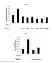Fig. 02 - Peptides having NF-κB inhibitory activity, or composition comprising same