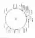 Fig. 02 - Host cell lines expressing recombinant GDF-5 protein