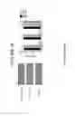 Fig. 33 - ANTIBODY AND METHODS FOR SELECTIVE INHIBITION OF T-CELL RESPONSES