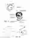 Fig. 02 - ANTI-ErbB2 ANTIBODIES
