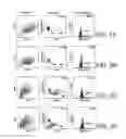 Fig. 04 - ANTI-ErbB2 ANTIBODIES