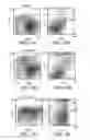 Fig. 06 - ANTI-ErbB2 ANTIBODIES
