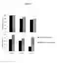 Fig. 06 - In vitro generation of dendritic cells by exposure to an anti-CSF1-R antibody
