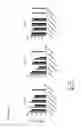 Fig. 07 - In vitro generation of dendritic cells by exposure to an anti-CSF1-R antibody