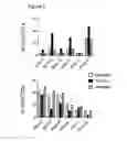 Fig. 10 - In vitro generation of dendritic cells by exposure to an anti-CSF1-R antibody