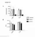 Fig. 12 - In vitro generation of dendritic cells by exposure to an anti-CSF1-R antibody
