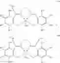 Fig. 166 - Catalysts and methods for polymer synthesis