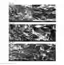 Fig. 04 - SYNTHETICALLY DESIGNED EXTRACELLULAR MICROENVIRONMENT