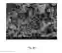 Fig. 06 - BLACK CERAMIC ADDITIVES, PIGMENTS, AND FORMULATIONS