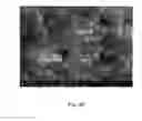 Fig. 08 - BLACK CERAMIC ADDITIVES, PIGMENTS, AND FORMULATIONS