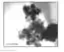 Fig. 01 - NANO-COMPOSITE POLYMERIC COATING FOR THE CONSERVATION OF LEATHERS AND METHOD FOR SYNTHESIZING THE SAME