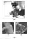 Fig. 02 - NANO-COMPOSITE POLYMERIC COATING FOR THE CONSERVATION OF LEATHERS AND METHOD FOR SYNTHESIZING THE SAME