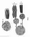 Fig. 09 - Methods, apparatus, and systems for fabrication of polymeric nano- and micro-fibers in aligned configurations