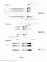 Fig. 02 - T-CELL RECEPTOR CLONOTYPES SHARED AMONG ANKYLOSING SPONDYLITIS PATIENTS