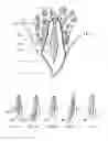 Fig. 02 - Dental and medical instruments comprising titanium