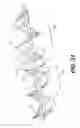 Fig. 27 - Snowblower auger