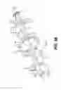 Fig. 52 - Snowblower auger
