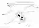 Fig. 01 - Piston-flush toilet system