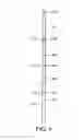 Fig. 04 - Modular composite pole