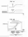 Fig. 05 - Engine control device and control method