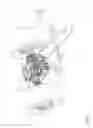 Fig. 02 - Transmission assembly for a self-propelled machine, of the type that can be positioned between the primary motor shaft and the wheels of said machine